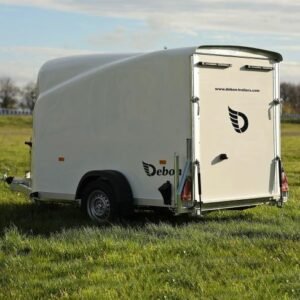 Kastenwagen 2